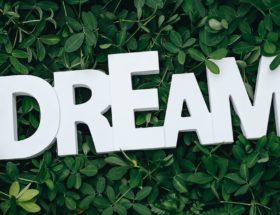 explorez l'univers fascinant des rêves : leur signification, les techniques pour les mémoriser et comment ils influencent notre vie quotidienne. plongez dans l'inconscient et découvrez les mystères qui se cachent derrière vos nuits.