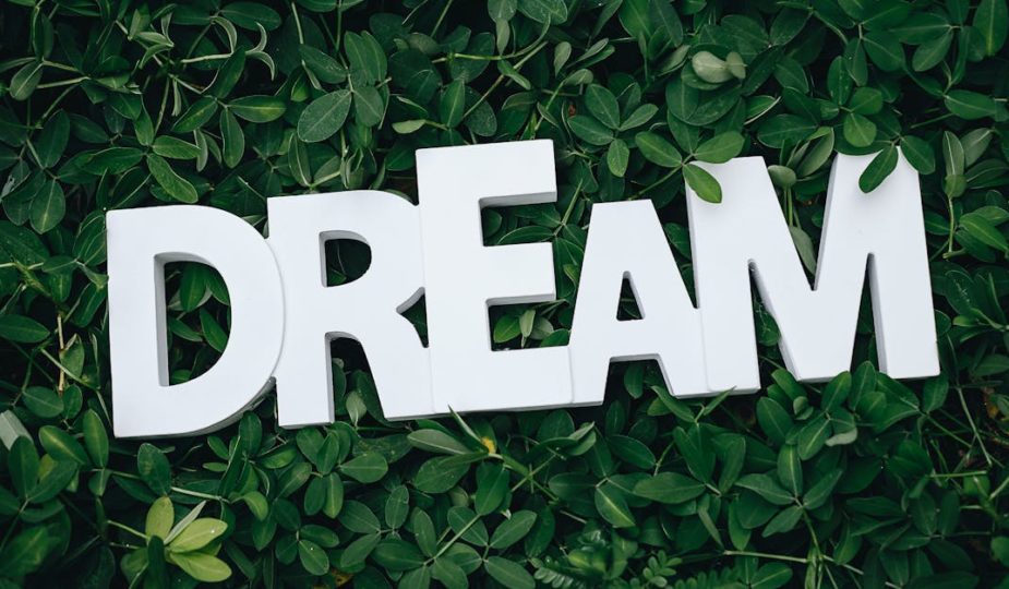 explorez l'univers fascinant des rêves : leur signification, les techniques pour les mémoriser et comment ils influencent notre vie quotidienne. plongez dans l'inconscient et découvrez les mystères qui se cachent derrière vos nuits.