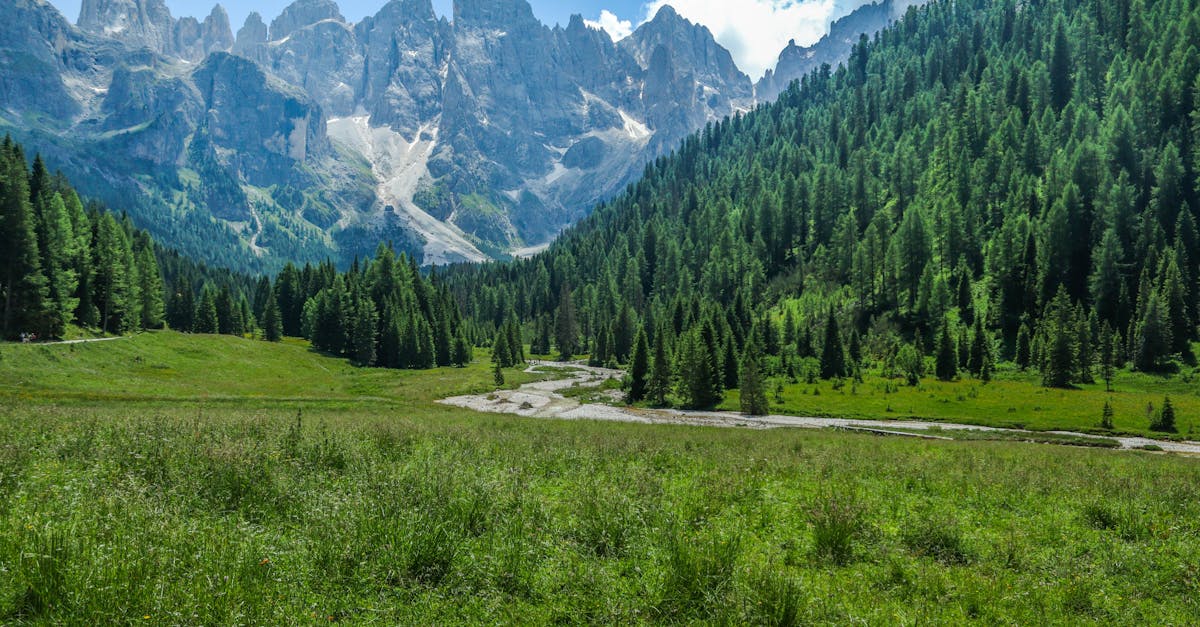 explorez des idées innovantes et des concepts fascinants dans notre collection d'inspirations. trouvez la motivation et les éléments qui stimulent votre créativité, que ce soit dans l'art, la mode, la décoration ou le design. laissez libre cours à votre imagination avec des sources d'inspiration variées et enrichissantes.