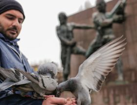 découvrez toute l'actualité sur les animaux : dernières découvertes, histoires insolites, conseils sur le bien-être animal et avancées scientifiques. restez informé des news animalières incontournables!
