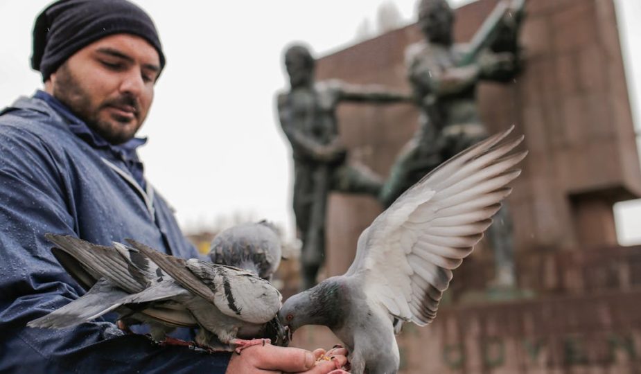 découvrez toute l'actualité sur les animaux : dernières découvertes, histoires insolites, conseils sur le bien-être animal et avancées scientifiques. restez informé des news animalières incontournables!