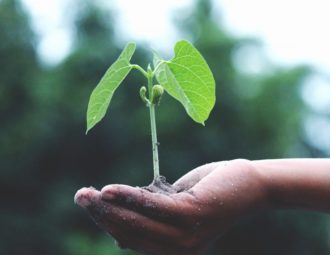 découvrez les meilleures stratégies et outils pour stimuler la croissance de votre entreprise, optimiser vos performances et atteindre vos objectifs professionnels rapidement.