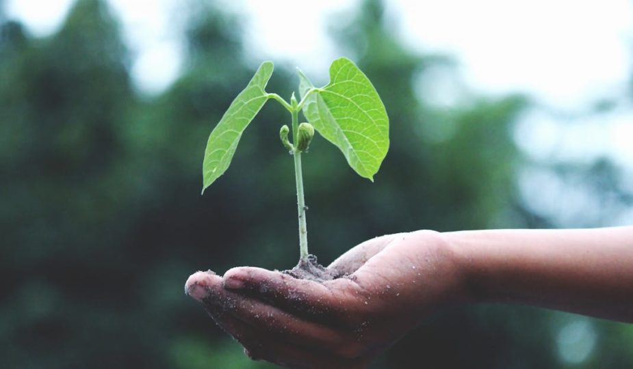 découvrez les meilleures stratégies et outils pour stimuler la croissance de votre entreprise, optimiser vos performances et atteindre vos objectifs professionnels rapidement.